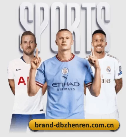 brand-dbzhenren.com.cn的方向 - 长期内容价值积累